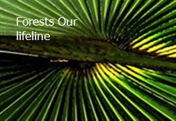 Forests Our lifeline Powerpoint Presentation