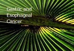 Gastric and Esophageal Cancer Powerpoint Presentation