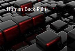 Human Back Pain Powerpoint Presentation