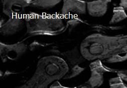 Human Backache Powerpoint Presentation