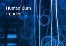 Human Burn Injuries Powerpoint Presentation