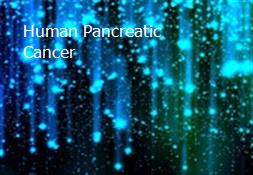 Human Pancreatic Cancer Powerpoint Presentation