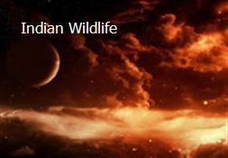 Indian Wildlife Powerpoint Presentation