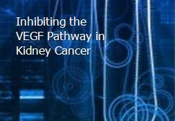 Inhibiting the VEGF Pathway in Kidney Cancer Powerpoint Presentation