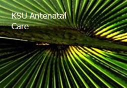 KSU-Antenatal Care Powerpoint Presentation