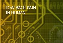 LOW BACK PAIN IN HUMAN Powerpoint Presentation