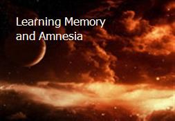 Learning Memory and Amnesia Powerpoint Presentation