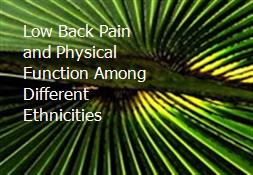 Low Back Pain and Physical Function Among Different Ethnicities Powerpoint Presentation