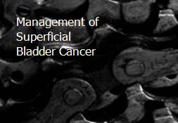 Management of Superficial Bladder Cancer Powerpoint Presentation