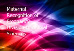 Maternal Recognition of Pregnancy-Division Of Animal Sciences Powerpoint Presentation