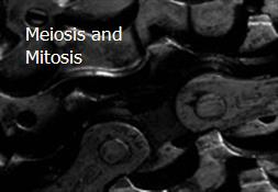 Meiosis and Mitosis Powerpoint Presentation
