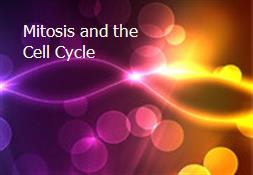 Mitosis and the Cell Cycle Powerpoint Presentation