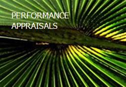 PERFORMANCE APPRAISALS  Powerpoint Presentation