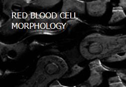 RED BLOOD CELL MORPHOLOGY Powerpoint Presentation