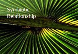 Symbiotic Relationship Powerpoint Presentation