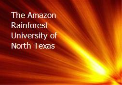 The Amazon Rainforest University of North Texas Powerpoint Presentation