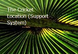 The Cricket Location (Support System) Powerpoint Presentation
