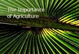 The Importance of Agriculture Powerpoint Presentation