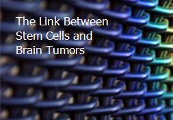 The Link Between Stem Cells and Brain Tumors Powerpoint Presentation