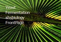 Yeast Fermentation shsbiology FrontPage Powerpoint Presentation