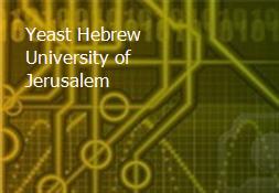 Yeast Hebrew University of Jerusalem Powerpoint Presentation
