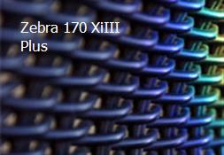 Zebra 170 XiIII Plus Powerpoint Presentation