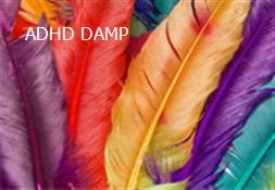 ADHD-DAMP Powerpoint Presentation