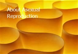 About Asexual Reproduction Powerpoint Presentation