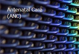 Antenatal Care (ANC) Powerpoint Presentation