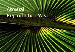 Asexual Reproduction Wiki Powerpoint Presentation
