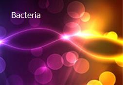 Bacteria Powerpoint Presentation