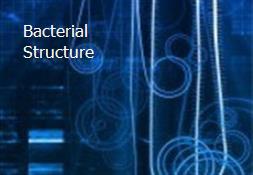 Bacterial Structure Powerpoint Presentation