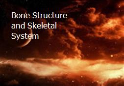 Bone Structure and Skeletal System Powerpoint Presentation