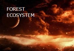 FOREST ECOSYSTEM Powerpoint Presentation