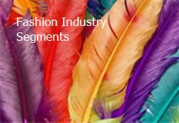 Fashion Industry Segments Powerpoint Presentation