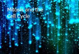 Mitosis and the Cell Cycle Powerpoint Presentation