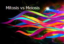 Mitosis vs Meiosis Powerpoint Presentation