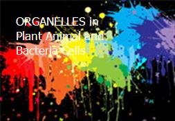 ORGANELLES in Plant Animal and Bacteria Cells Powerpoint Presentation