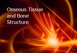 Osseous Tissue and Bone Structure Powerpoint Presentation