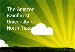 The Amazon Rainforest University of North Texas Powerpoint Presentation