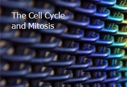 The Cell Cycle and Mitosis Powerpoint Presentation