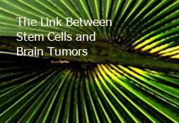 The Link Between Stem Cells and Brain Tumors Powerpoint Presentation