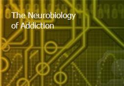 The Neurobiology of Addiction Powerpoint Presentation