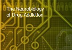 The Neurobiology of Drug Addiction Powerpoint Presentation
