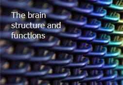 The brain structure and functions Powerpoint Presentation