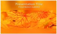 Nature Abstract Free Ppt Template