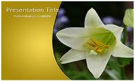Whilte Tulip Free Ppt Template