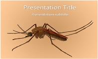 Female Mosquito Free Ppt Template