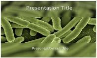 Koli Bacteria Free Ppt Template