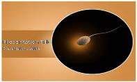 Sperm Free Ppt Template